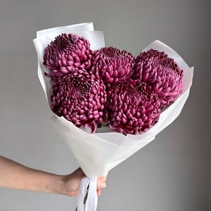 Стильный букет хризантема Бигуди