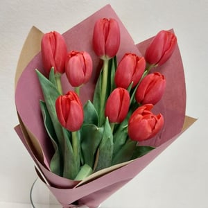 Букет «9 красных тюльпанов»
