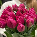 Букет «Тюльпаны пионовидные»
