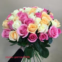 Букет «51 роза»