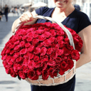 151 красная роза в корзине