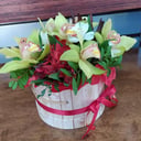 Шляпная коробка с цветами «Салатовый оазис» из орхидей и альстромерий