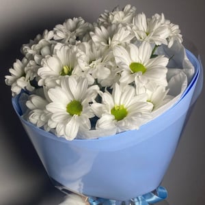 Букет белых хризантем в упаковке