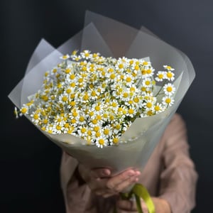 Букет «Ромашки Матрикария»
