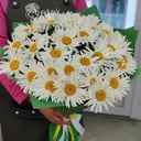 Букет «Ромашки»