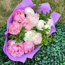 Букет из 13 пионов