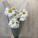 Букет «Ромашки»