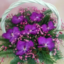 Корзина с цветами «Ариана» из орхидей и гипсофил