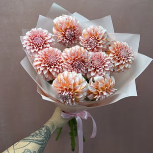 Букет «Георгины Peaches and Cream 9 шт»
