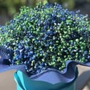 Шляпная коробка с цветами «Облако» из гипсофил