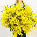 Букет «Ароматное Облако» из мимоза