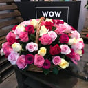 101 эквадорская роза в корзине микс