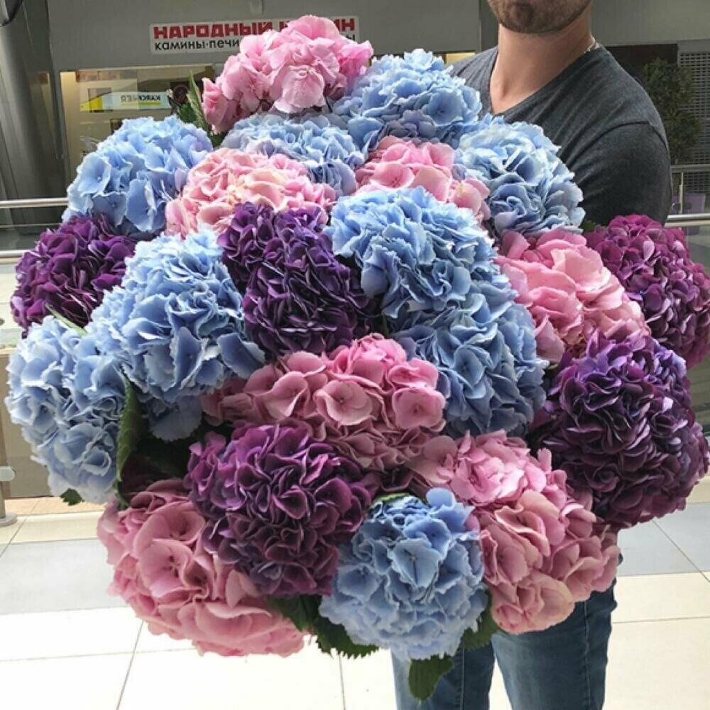Букет из 15 гортензий микс