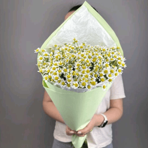 Букет ромашек