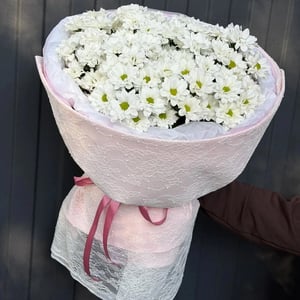 Букет в кружеве ромашковая хризантема 11