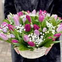 Корзина Тюльпанов и Гипсофилы