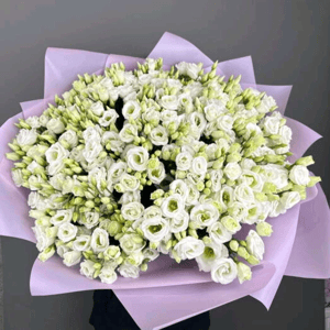 Букет из 55 белых эустом