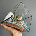 Флорариум с хавортией