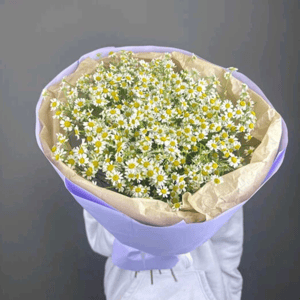 Букет из матрикарий в фиолетовой упаковке
