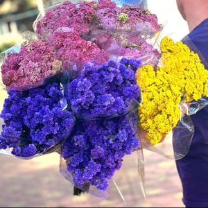 Букет «Колорит»