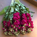 Букет «Любовные желания» из экзотических цветов