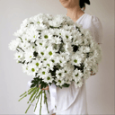 Букет «Трикси» из хризантем