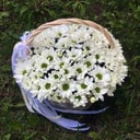 Корзина с цветами «Пушинка» из хризантем