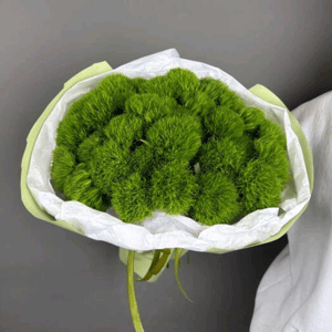 Монобукет из 35 диантусов в зелёной упаковке из гвоздик