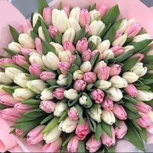 101 тюльпан букет