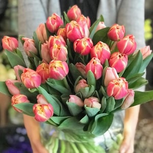 Букет «Изысканные цветы» из тюльпанов