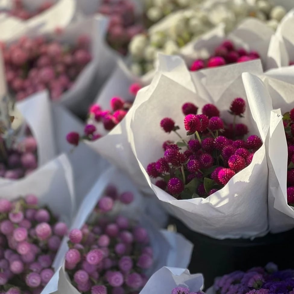 Fresh flowers Tampa