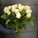 Букет из 21 белой розы