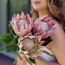 Букет «Протея 3 штук» из экзотических цветов