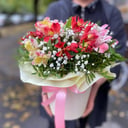 Шляпная коробка с цветами «Яркая звезда» из альстромерий и гипсофил