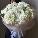 Моно букет из 7 гортензий