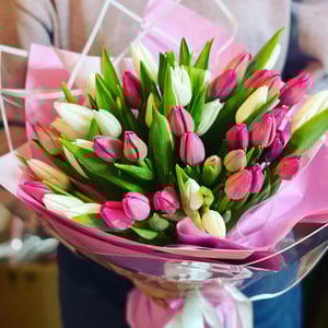 Букет «Асмания» из тюльпанов