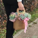 Корзина с цветами «Композиция из нежной гипсофилы»