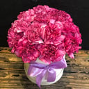 Диантус в шляпной коробке