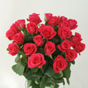 Букет «Амур 21 Эквадор» из роз