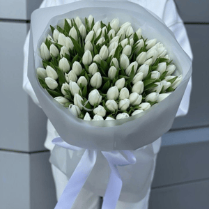 Букет «Белые тюльпаны 95 штук»
