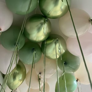 Шары под потолок Эвкалиптовая Симфония