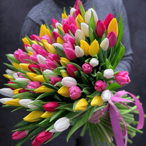 Букет из 101 тюльпанов цветные