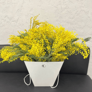 Букет мимозы в коробке переноске