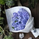 Букет «Гиацинт» из экзотических цветов