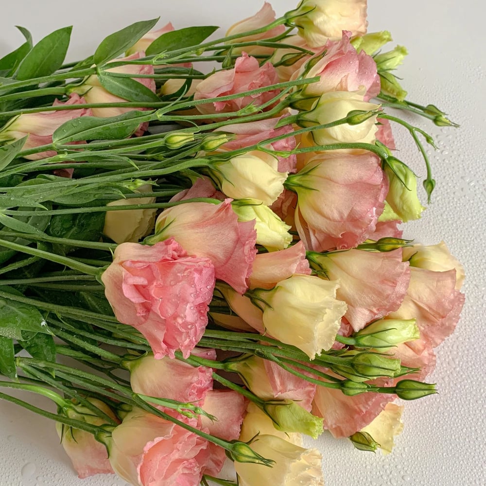 Lisianthus bouquet delivery