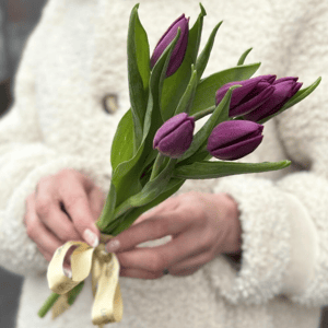 Букет из фиолетовых тюльпанов 5 шт
