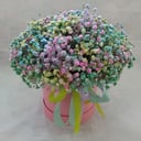 Шляпная коробка с цветами «Радужная» из гипсофил