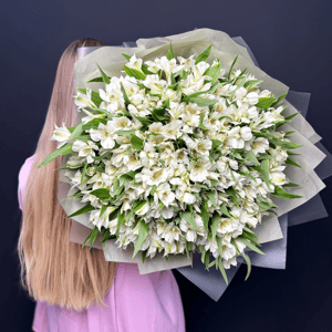 Монобукет из 51 белых альстромерий