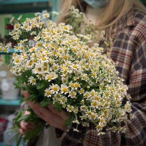 Букет «Полевые цветы»