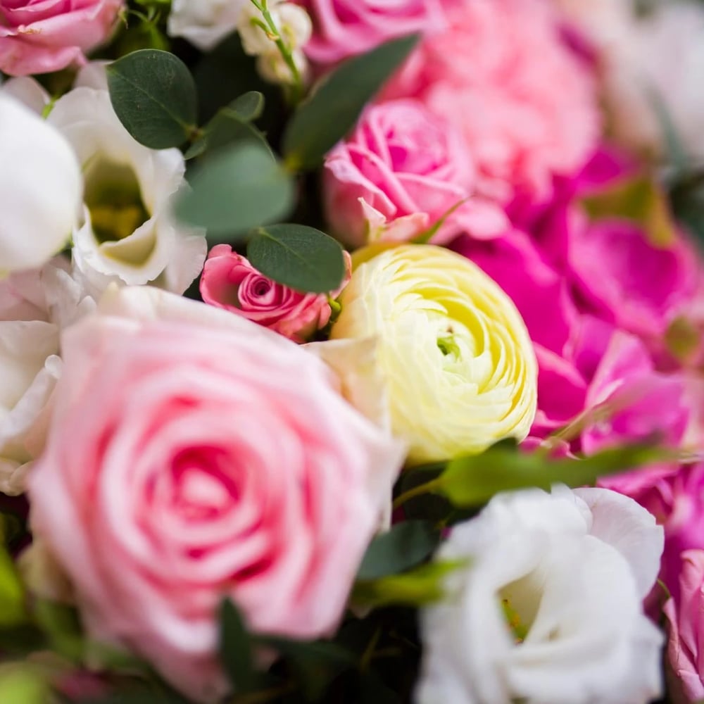 Flowers in Abu Dhabi